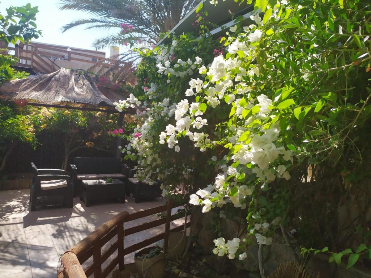 Lotus Turtle Garden Eilat Apartment Ngoại thất bức ảnh