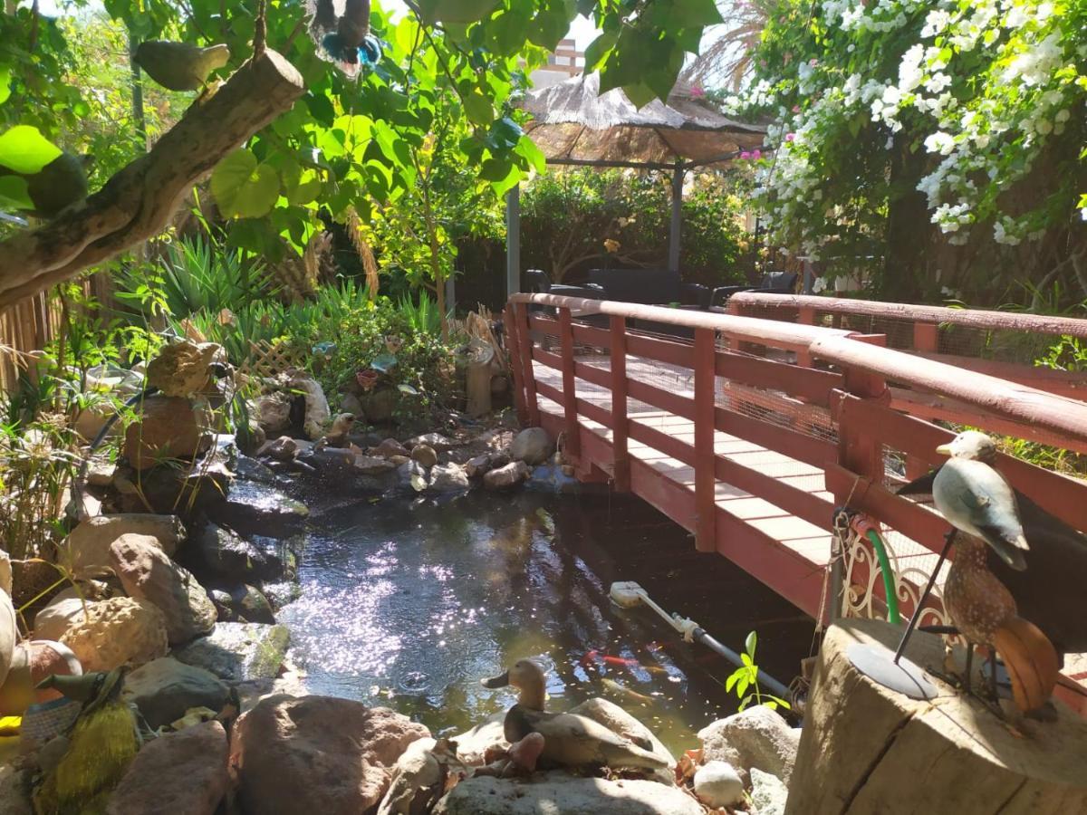 Lotus Turtle Garden Eilat Apartment Ngoại thất bức ảnh