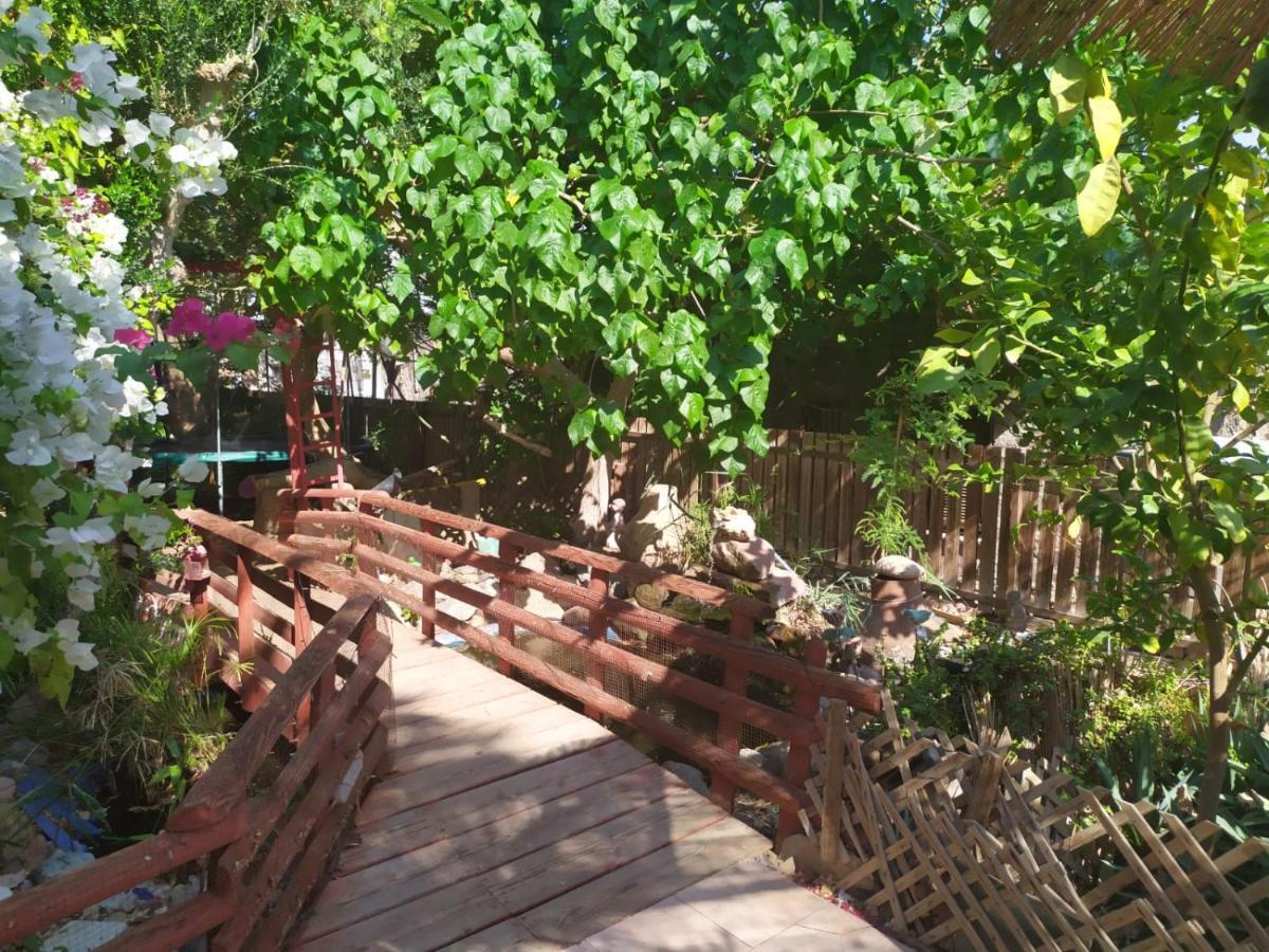 Lotus Turtle Garden Eilat Apartment Ngoại thất bức ảnh