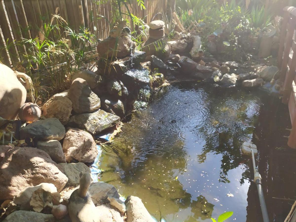 Lotus Turtle Garden Eilat Apartment Ngoại thất bức ảnh