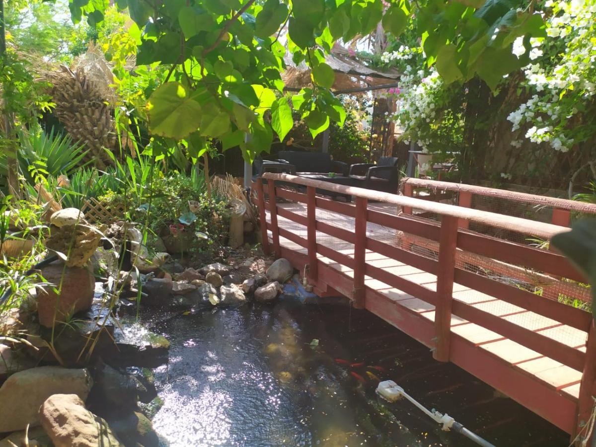 Lotus Turtle Garden Eilat Apartment Ngoại thất bức ảnh